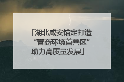 湖北咸安锚定打造“营商环境首善区”助力高质量发展