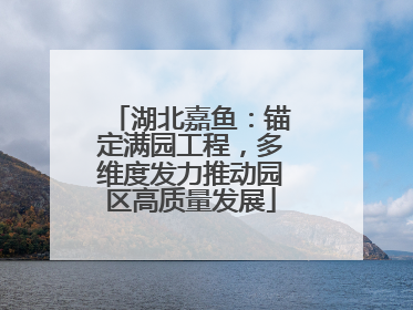 湖北嘉鱼：锚定满园工程，多维度发力推动园区高质量发展