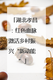 湖北孝昌：红色血脉激活乡村振兴“新动能”