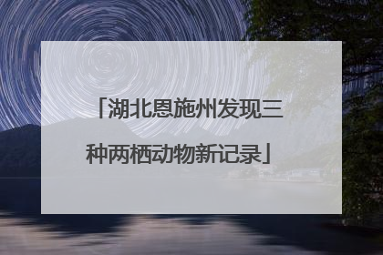 湖北恩施州发现三种两栖动物新记录