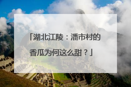 湖北江陵：潘市村的香瓜为何这么甜？