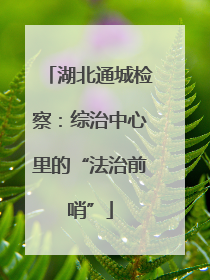 湖北通城检察：综治中心里的“法治前哨”
