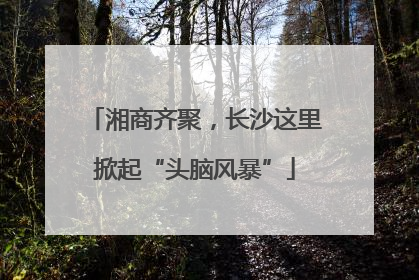 湘商齐聚，长沙这里掀起“头脑风暴”