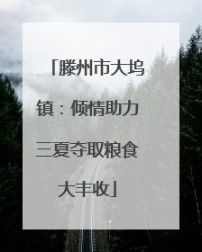 滕州市大坞镇：倾情助力三夏夺取粮食大丰收