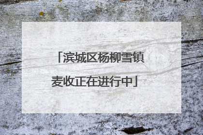 滨城区杨柳雪镇麦收正在进行中