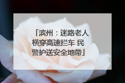 滨州：迷路老人横穿高速拦车 民警护送安全地带