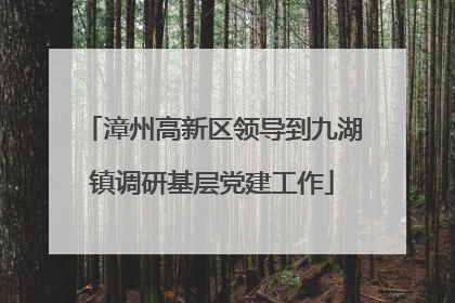 漳州高新区领导到九湖镇调研基层党建工作
