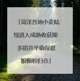 菏泽各地小麦陆续进入成熟收获期 多措并举确保夏粮颗粒归仓