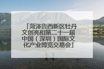 菏泽鲁西新区牡丹文创亮相第二十一届中国（深圳）国际文化产业博览交易会