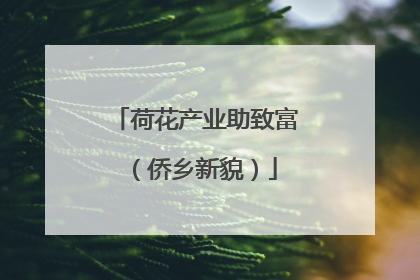 荷花产业助致富（侨乡新貌）