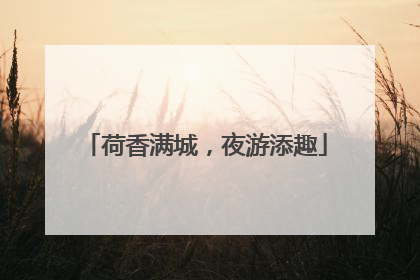 荷香满城，夜游添趣