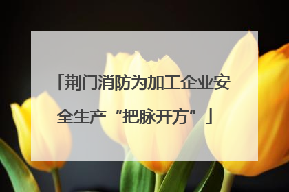 荆门消防为加工企业安全生产“把脉开方”