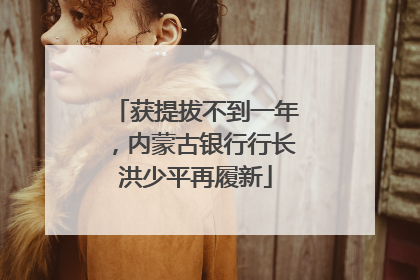 获提拔不到一年，内蒙古银行行长洪少平再履新