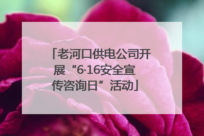 老河口供电公司开展“6·16安全宣传咨询日”活动