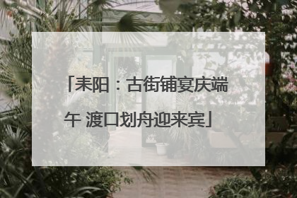 耒阳：古街铺宴庆端午 渡口划舟迎来宾