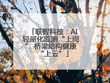 联智科技：AI轻量化监测“上岗” 桥梁结构健康“上云”