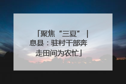 聚焦“三夏”｜息县：驻村干部奔走田间为农忙