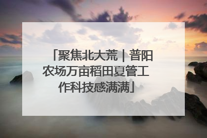 聚焦北大荒｜普阳农场万亩稻田夏管工作科技感满满