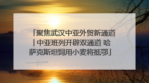 聚焦武汉中亚外贸新通道│中亚班列开辟双通道 哈萨克斯坦饲用小麦将抵鄂