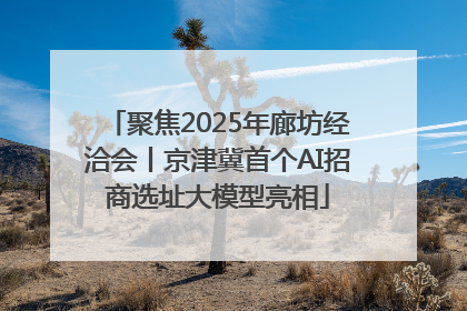 聚焦2025年廊坊经洽会丨京津冀首个AI招商选址大模型亮相
