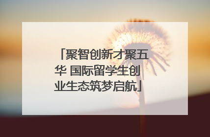 聚智创新才聚五华 国际留学生创业生态筑梦启航