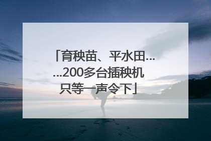 育秧苗、平水田……200多台插秧机只等一声令下