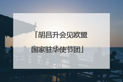 胡昌升会见欧盟国家驻华使节团