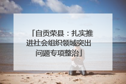自贡荣县：扎实推进社会组织领域突出问题专项整治