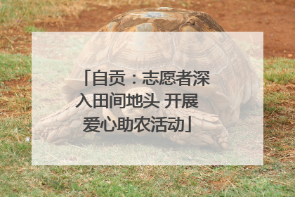 自贡：志愿者深入田间地头 开展爱心助农活动
