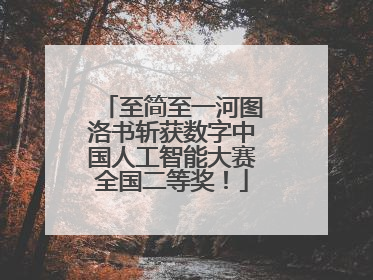至简至一河图洛书斩获数字中国人工智能大赛全国二等奖！