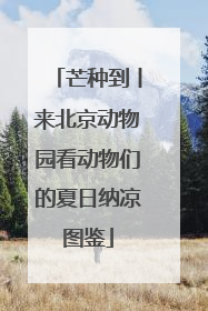 芒种到丨来北京动物园看动物们的夏日纳凉图鉴