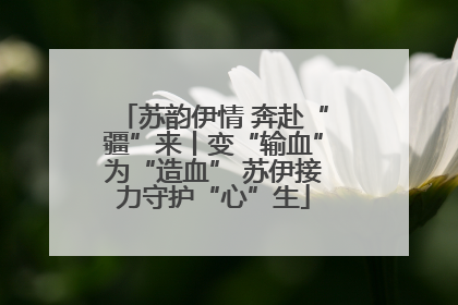 苏韵伊情 奔赴“疆”来丨变“输血”为“造血” 苏伊接力守护“心”生