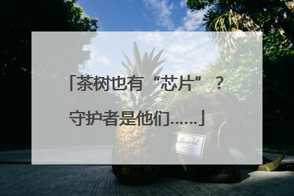 茶树也有“芯片”？守护者是他们……