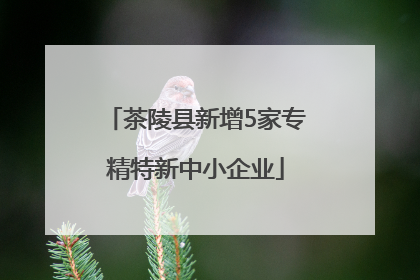 茶陵县新增5家专精特新中小企业