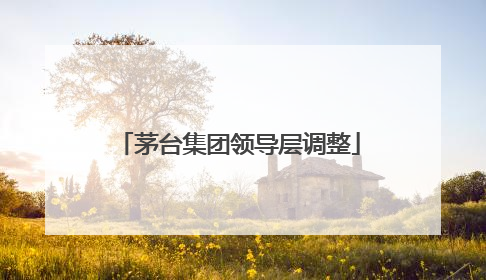 茅台集团领导层调整