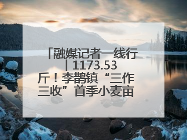 融媒记者一线行丨1173.53斤！李鹊镇“三作三收”首季小麦亩产创新高