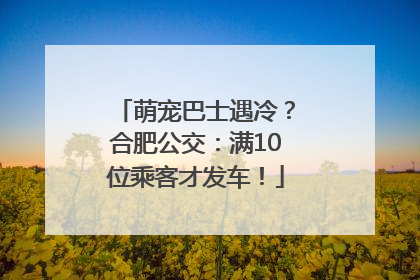萌宠巴士遇冷？合肥公交：满10位乘客才发车！
