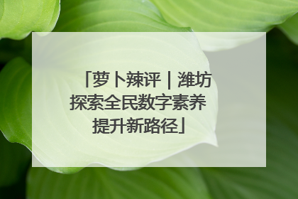 萝卜辣评｜潍坊探索全民数字素养提升新路径