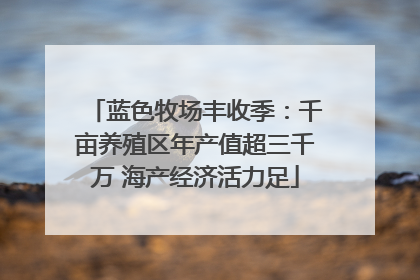 蓝色牧场丰收季：千亩养殖区年产值超三千万 海产经济活力足
