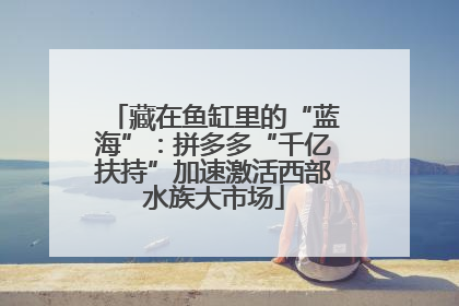 藏在鱼缸里的“蓝海”：拼多多“千亿扶持”加速激活西部水族大市场