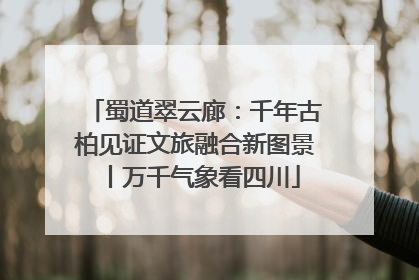 蜀道翠云廊：千年古柏见证文旅融合新图景丨万千气象看四川
