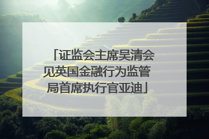 证监会主席吴清会见英国金融行为监管局首席执行官亚迪