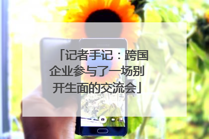 记者手记：跨国企业参与了一场别开生面的交流会