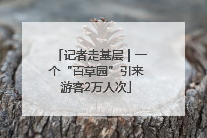 记者走基层｜一个“百草园”引来游客2万人次