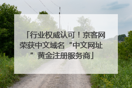 行业权威认可！京客网荣获中文域名“中文网址”黄金注册服务商