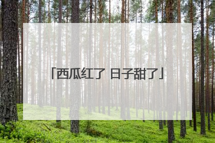 西瓜红了 日子甜了