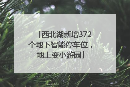 西北湖新增372个地下智能停车位，地上变小游园