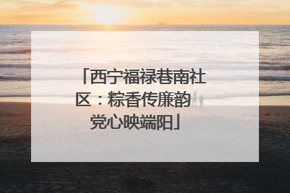 西宁福禄巷南社区：粽香传廉韵 党心映端阳
