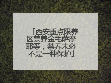 西安重点限养区禁养金毛萨摩耶等，禁养未必不是一种保护