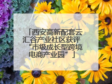 西安高新配套云汇谷产业社区获评“市级成长型跨境电商产业园”
